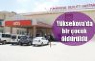 Yüksekova'da bir çocuk öldürüldü