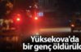 Yüksekova'da bir genç açılan ateş sonucu hayatını...