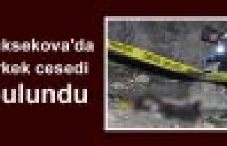 Yüksekova'da erkek cesedi bulundu