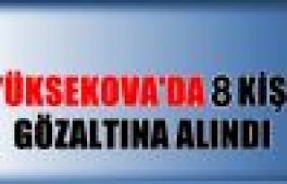 Yüksekova'da ev baskınları: 8 Gözaltı