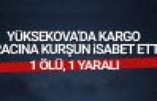 Yüksekova'da kargo aracına kurşun isabet etti:...