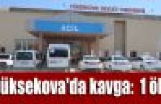 Yüksekova'da kavga: 1 ölü