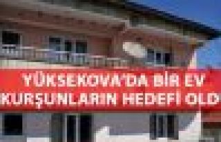 Yüksekova'da özel hareket timleri evleri taradı