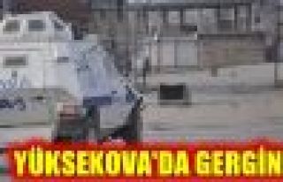 Yüksekova'da Roboski ve Cizre gerginliği