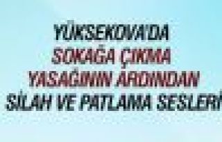 Yüksekova'da sokağa çıkma yasağı