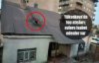 Yüksekova'da top atışları; evlere isabet edenler...