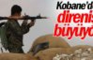 Yunan parlamenter: Kobani direnişi sınırları aşan...