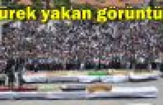 Yürek yakan görüntü!