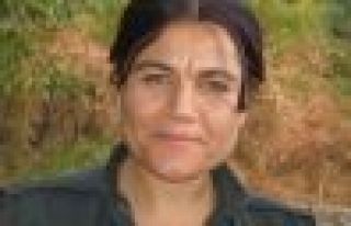 Zagros: PKK tevgera qehremaniyê ye