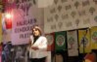 Zana: 7 Haziran'da gelecek oylaması yapılacak