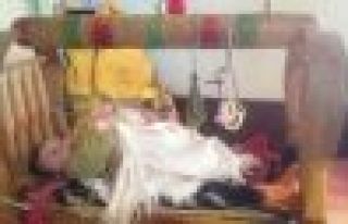 Zaroka Tebaxê Berxwedan