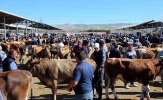 Şap hastalığı nedeniyle Diyarbakır ve Siirt'te hayvan pazarları kapatıldı