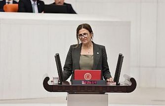 Meclis konuşmasında Kürtçe kelime geçen Türkan Elçi'nin mikrofonu kapatıldı
