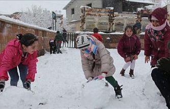 Van, Ardahan ve Ağrı'da eğitime kar ve tipi engeli