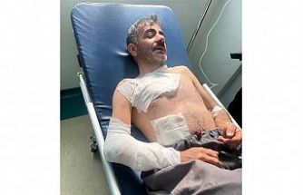 Şemdinli'de Ayı Saldırısı:  1 Kişi Yaralandı